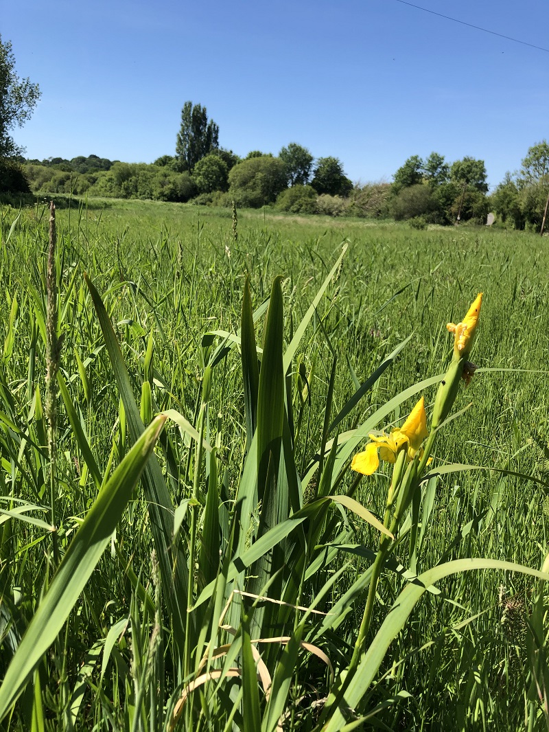 English countryside