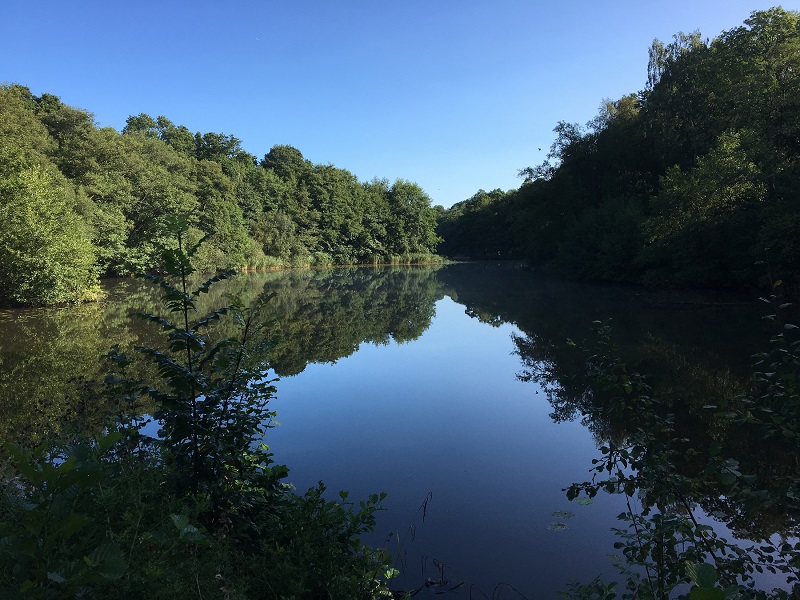 Natural capital from lakes, rivers and waterways