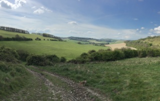 Natural capital English countryside