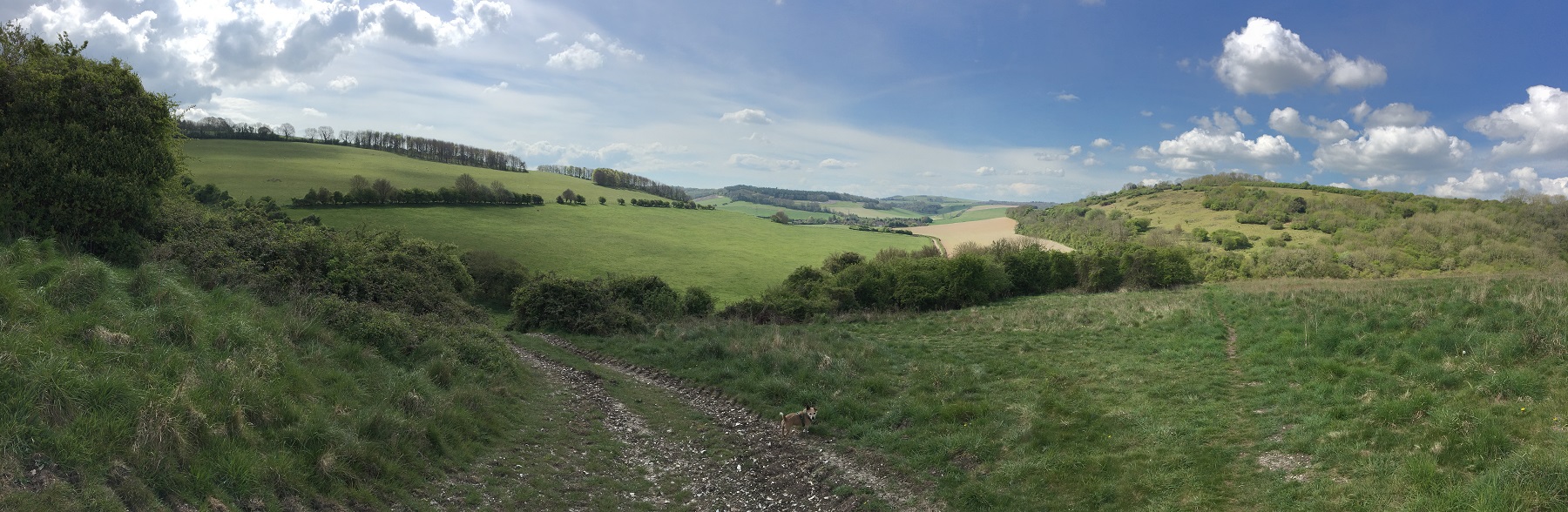 Natural capital English countryside