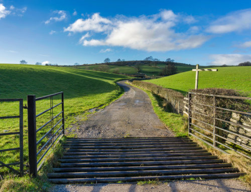 Considering the purchase of a potential development site in the National Park