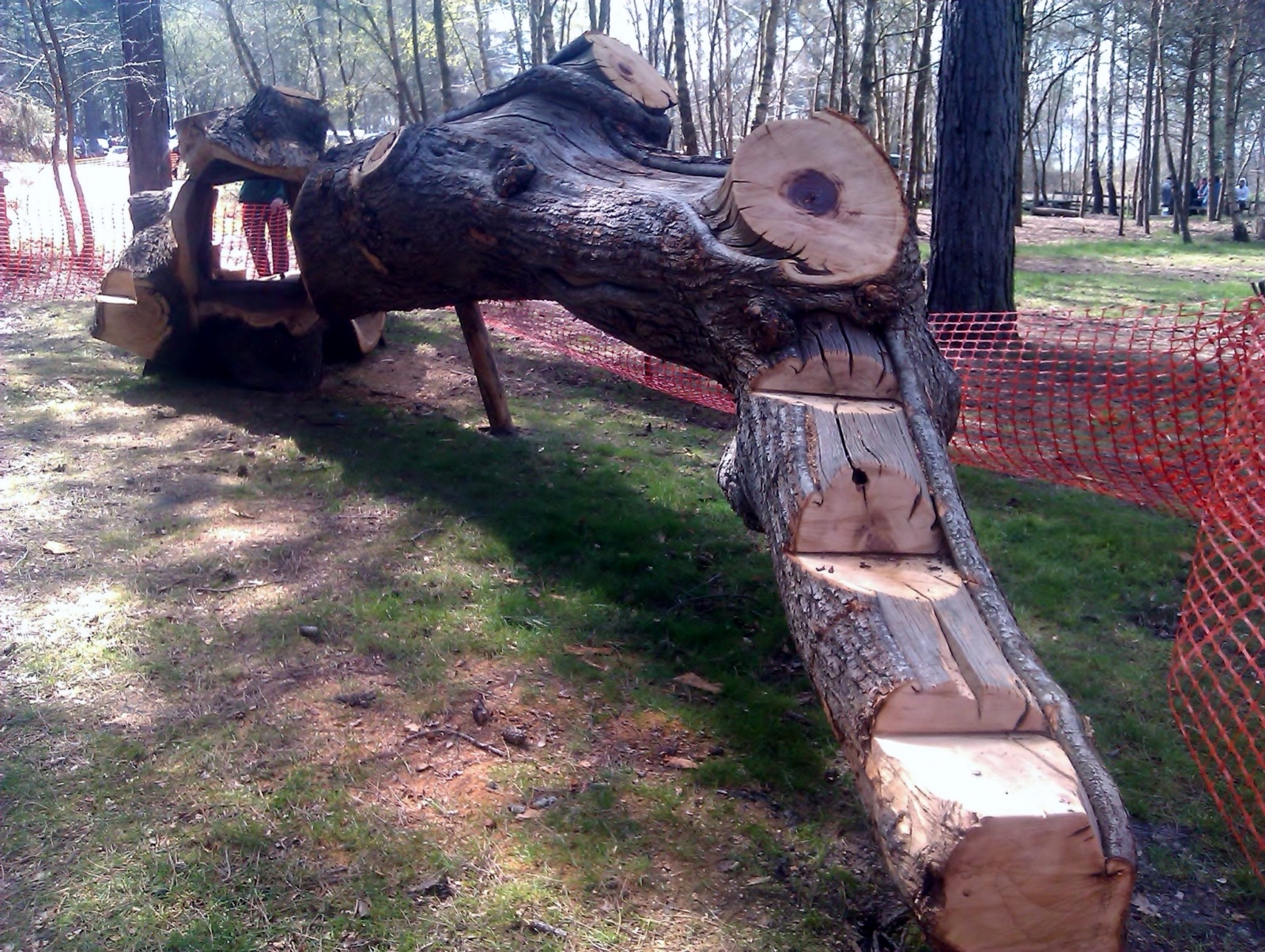 Forest Enterprise Moors Valley play 2