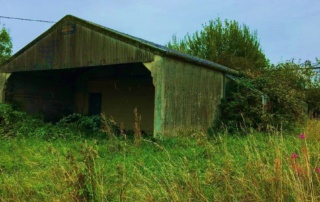 Rural Diversification