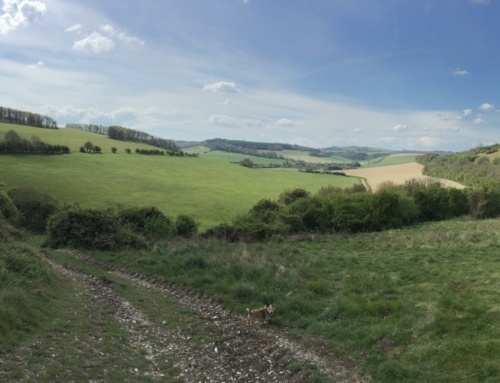 Compulsory Purchase of  Land and Real Estate