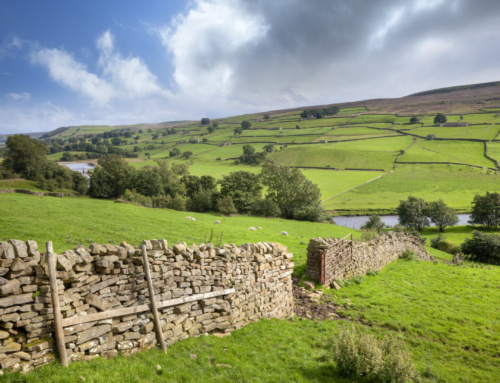 Advising a London livery company on residential redevelopment